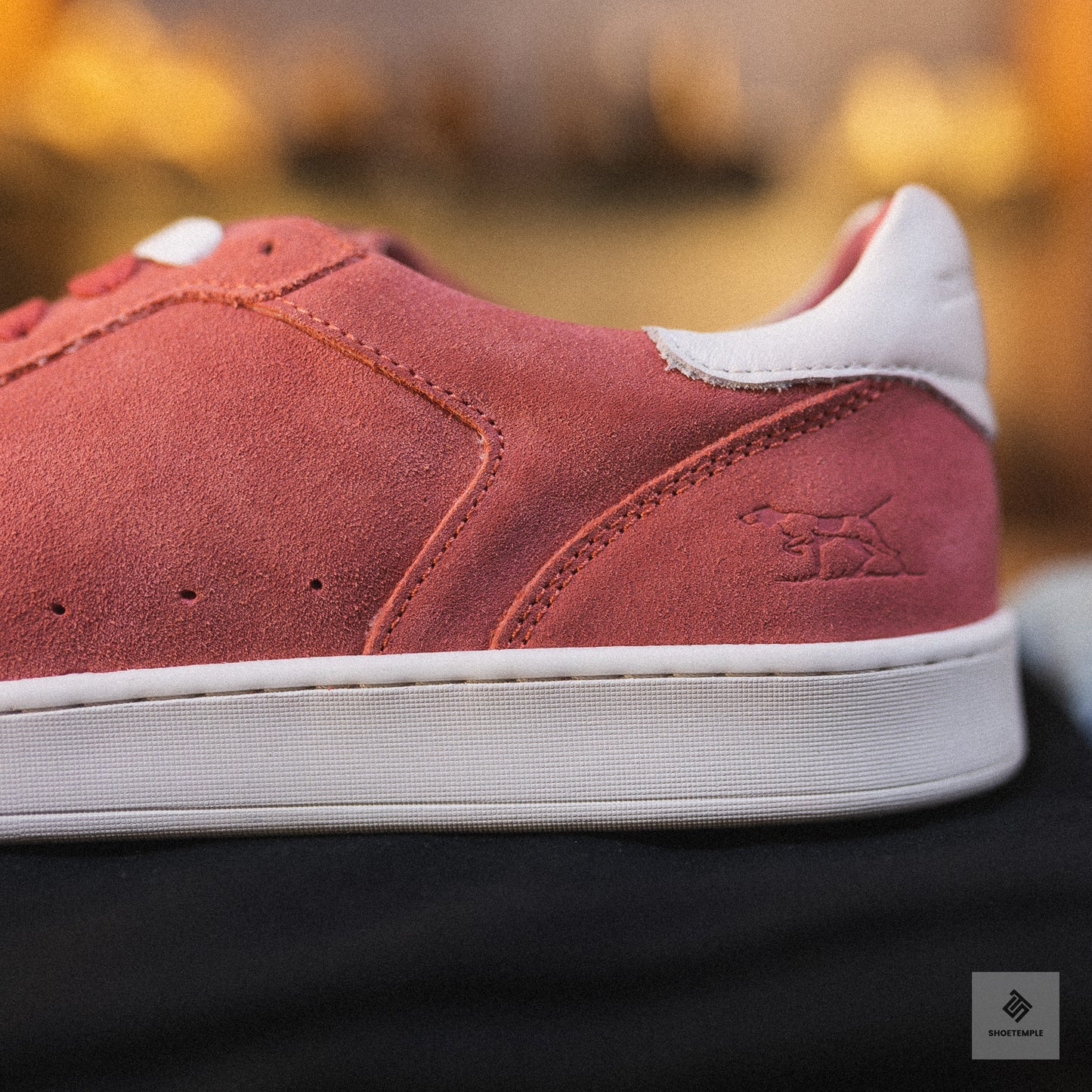 Rodd & Gunn Sussex Street Sneaker in salmon suede