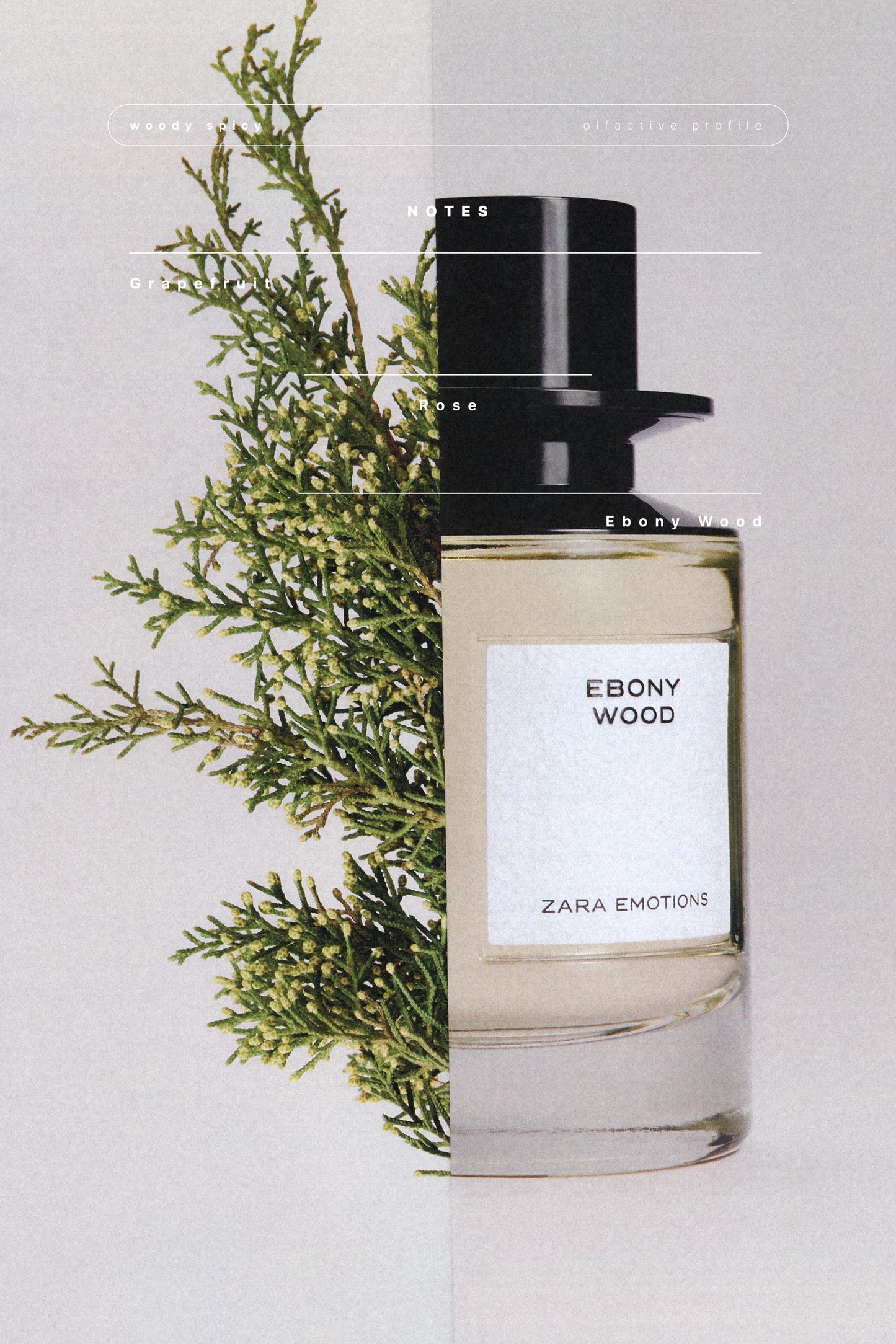 Ebony Wood EDP 100ml