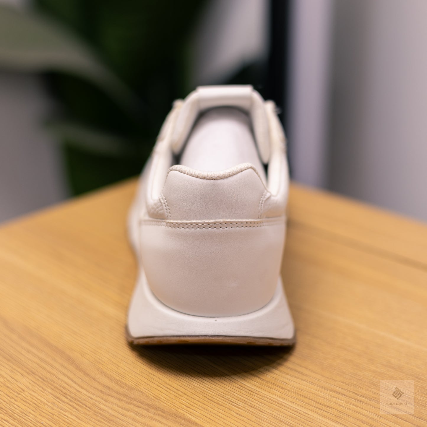 Zara Leather Sneaker