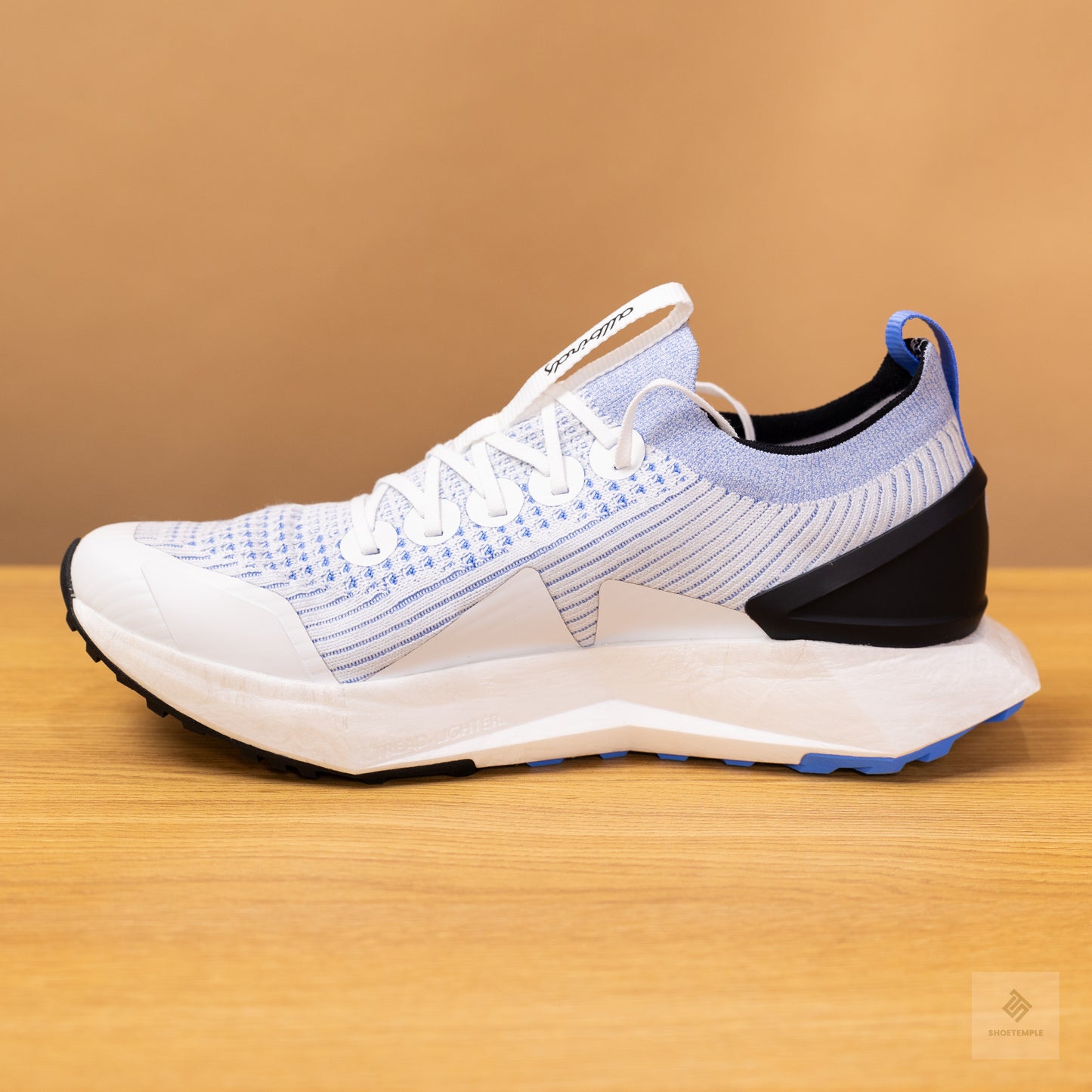 Allbirds Men’s Tree Flyer 2