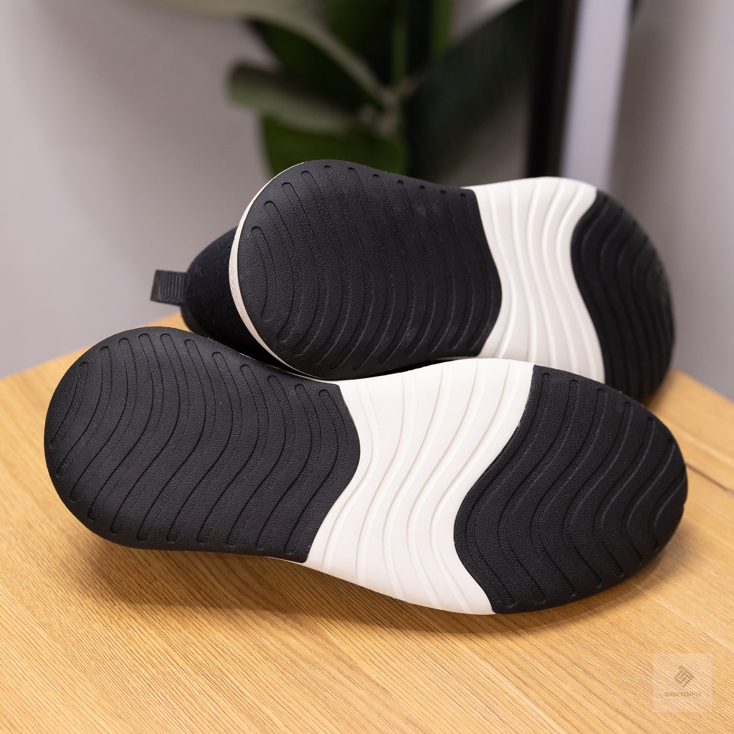 Allbirds Courier Men Sneaker