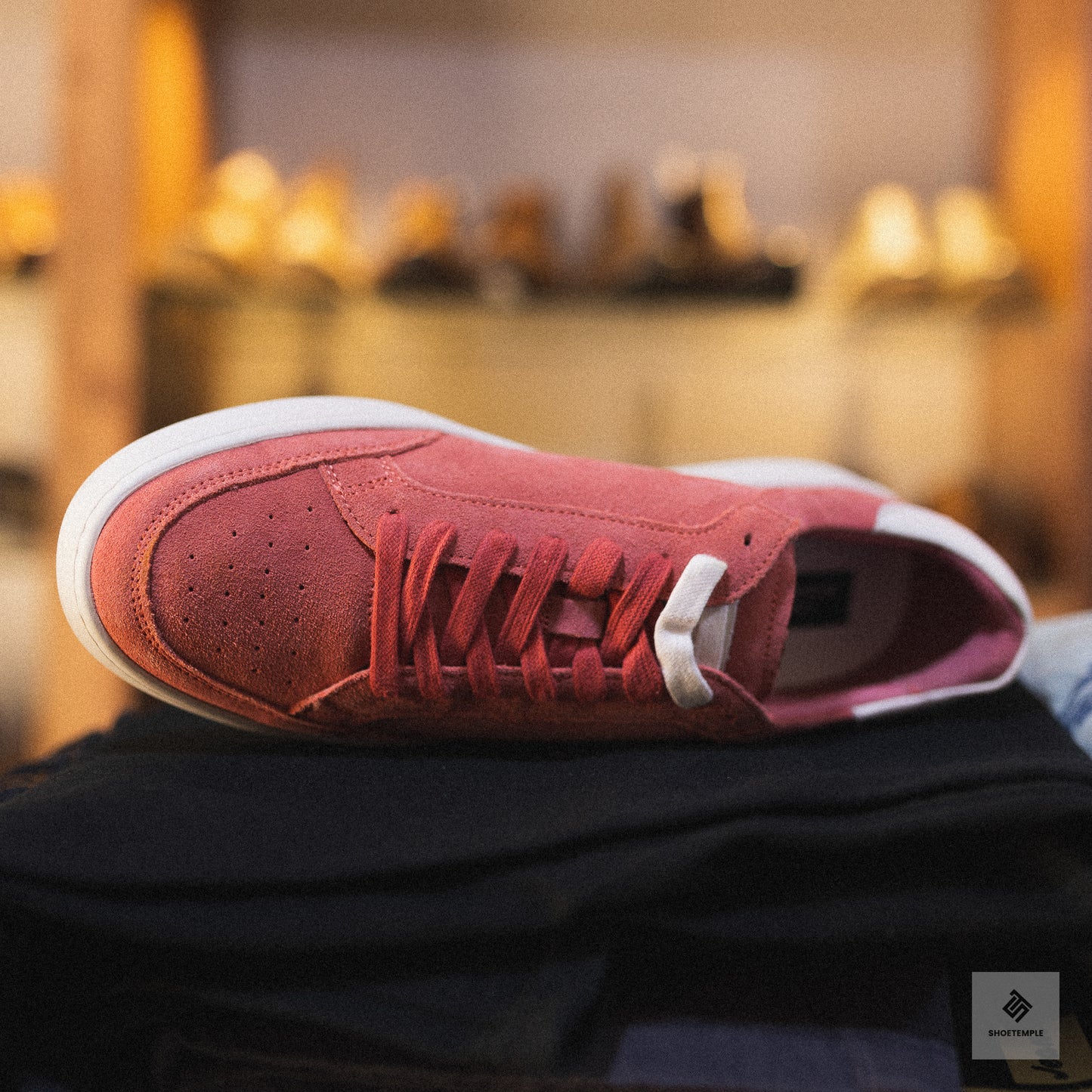 Rodd & Gunn Sussex Street Sneaker in salmon suede