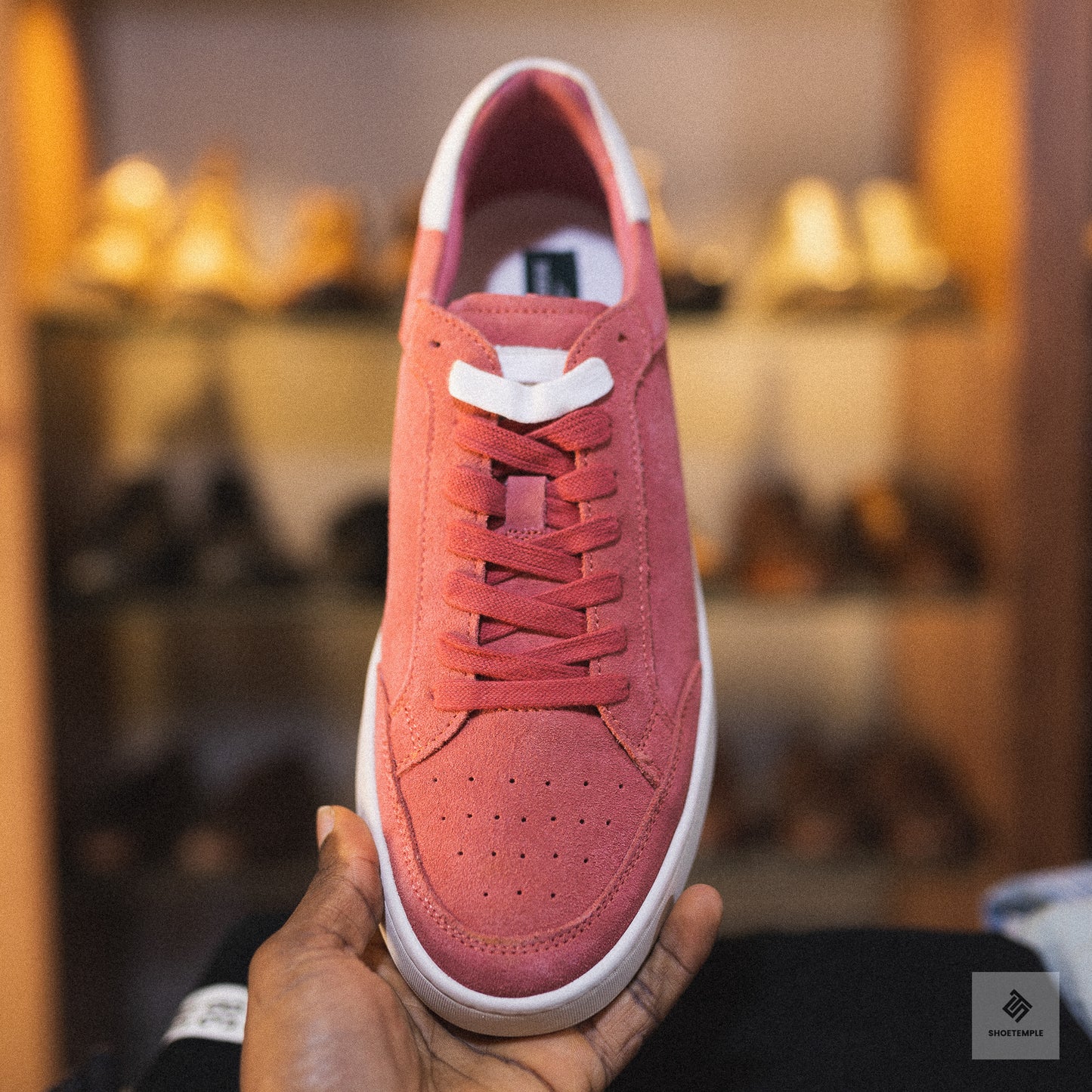 Rodd & Gunn Sussex Street Sneaker in salmon suede