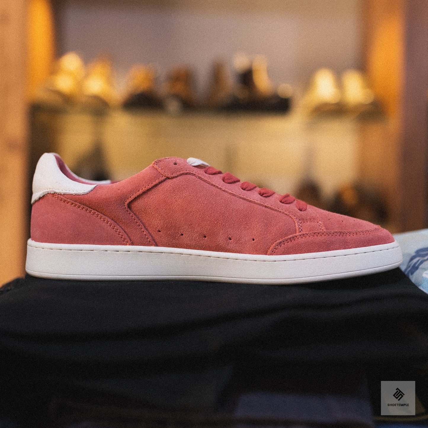 Rodd & Gunn Sussex Street Sneaker in salmon suede