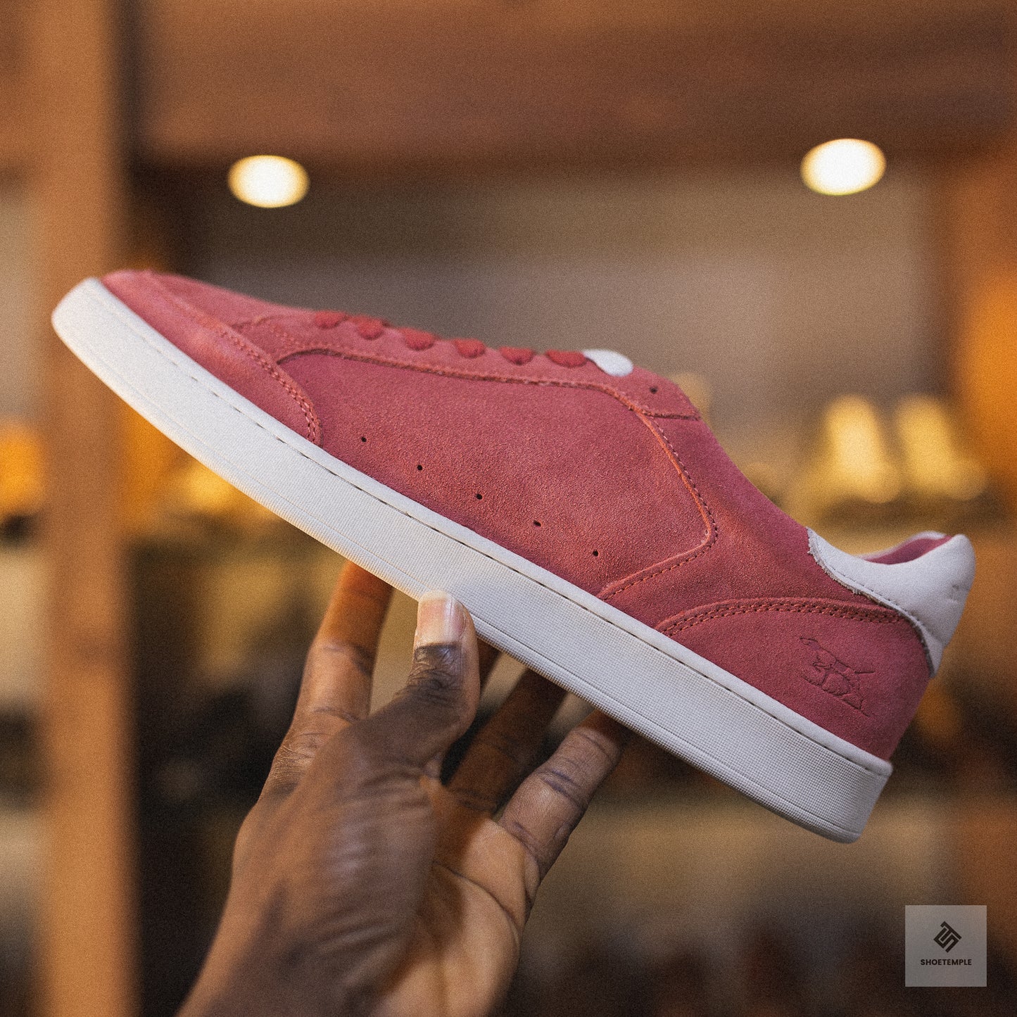 Rodd & Gunn Sussex Street Sneaker in salmon suede