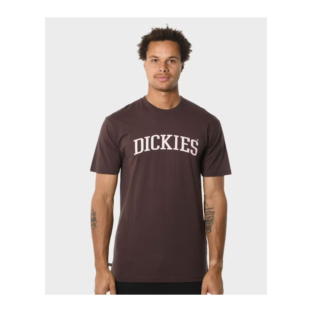 Dickies Longview Regular Fit Tee - Brown