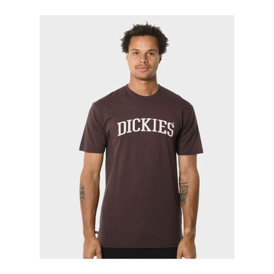 Dickies Longview Regular Fit Tee - Brown