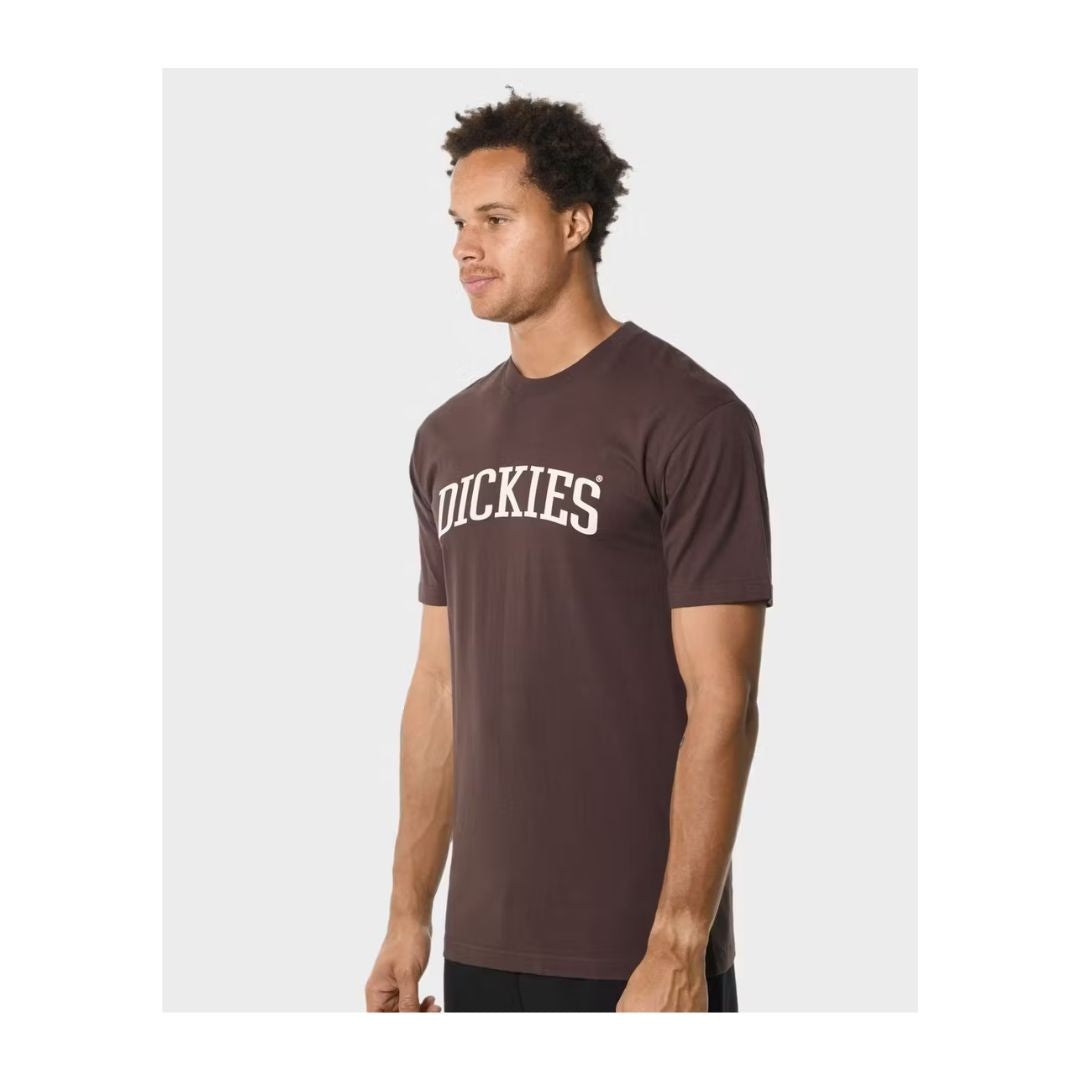 Dickies Longview Regular Fit Tee - Brown