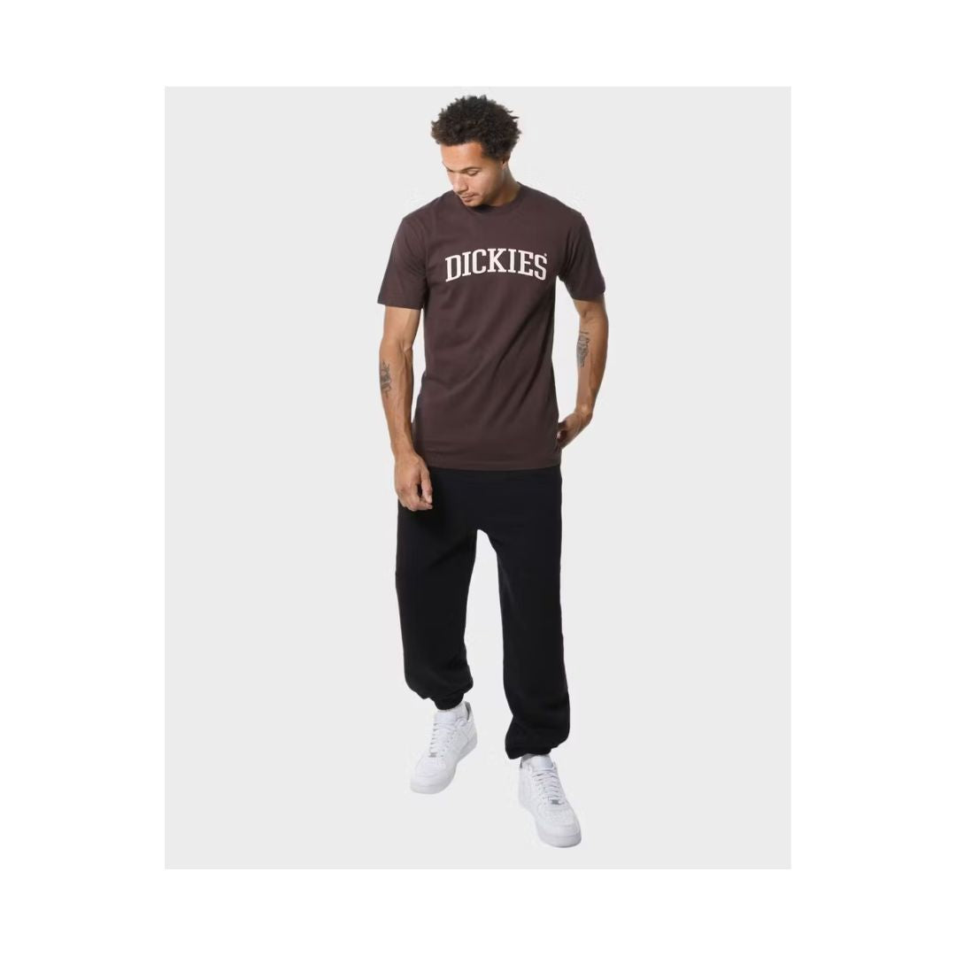 Dickies Longview Regular Fit Tee - Brown