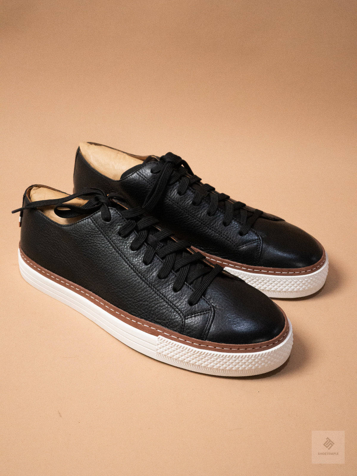 Allen Edmonds Paxton lace-up sneaker