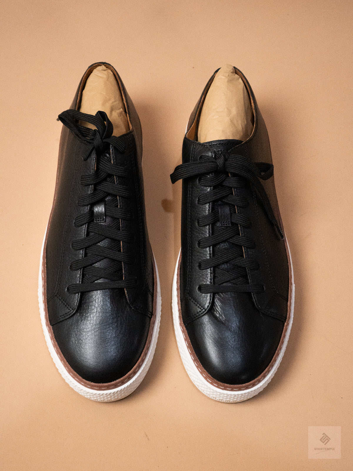 Allen Edmonds Paxton lace-up sneaker