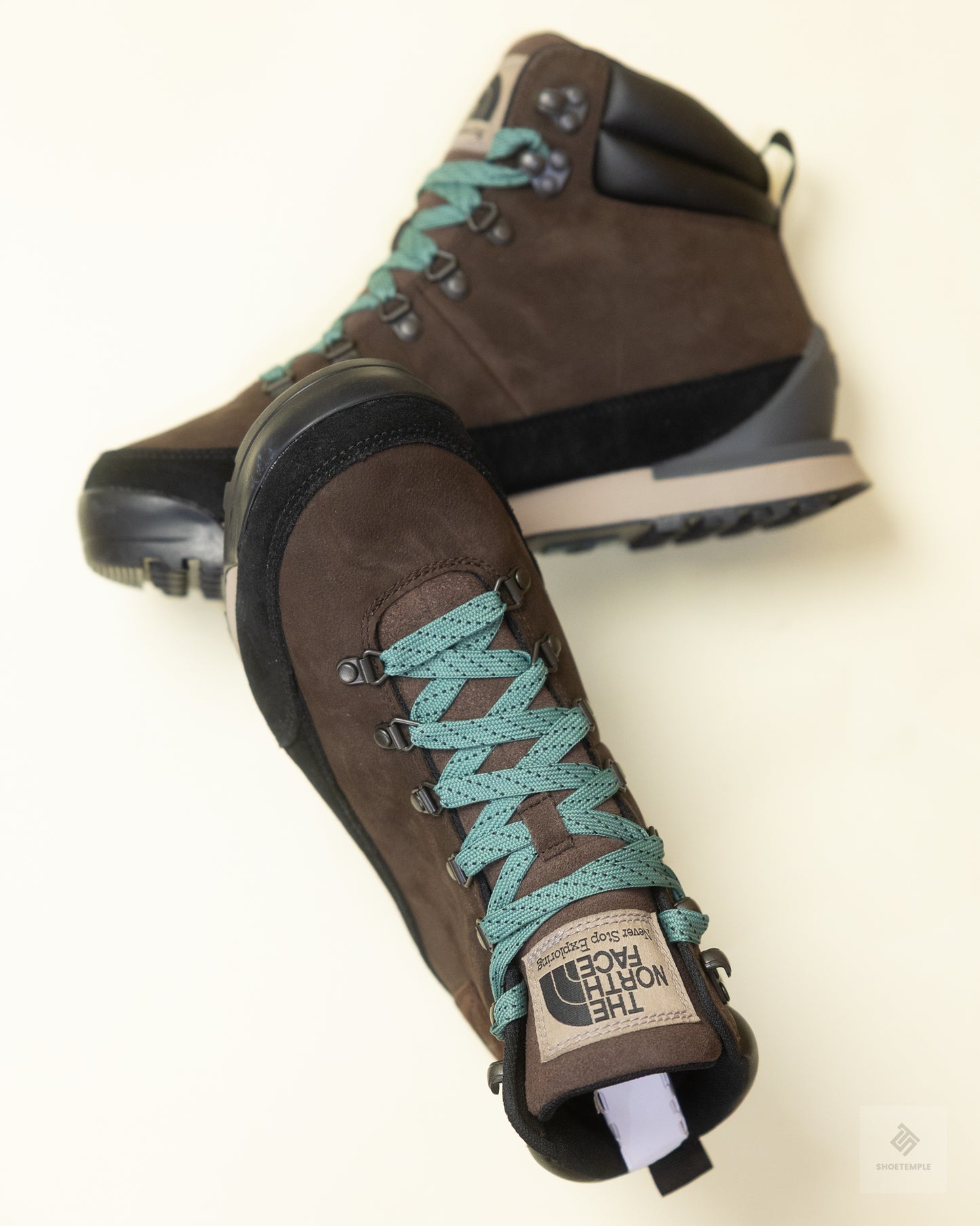 The North Face Men's Back-To-Berkeley IV Leather Waterproof Boots