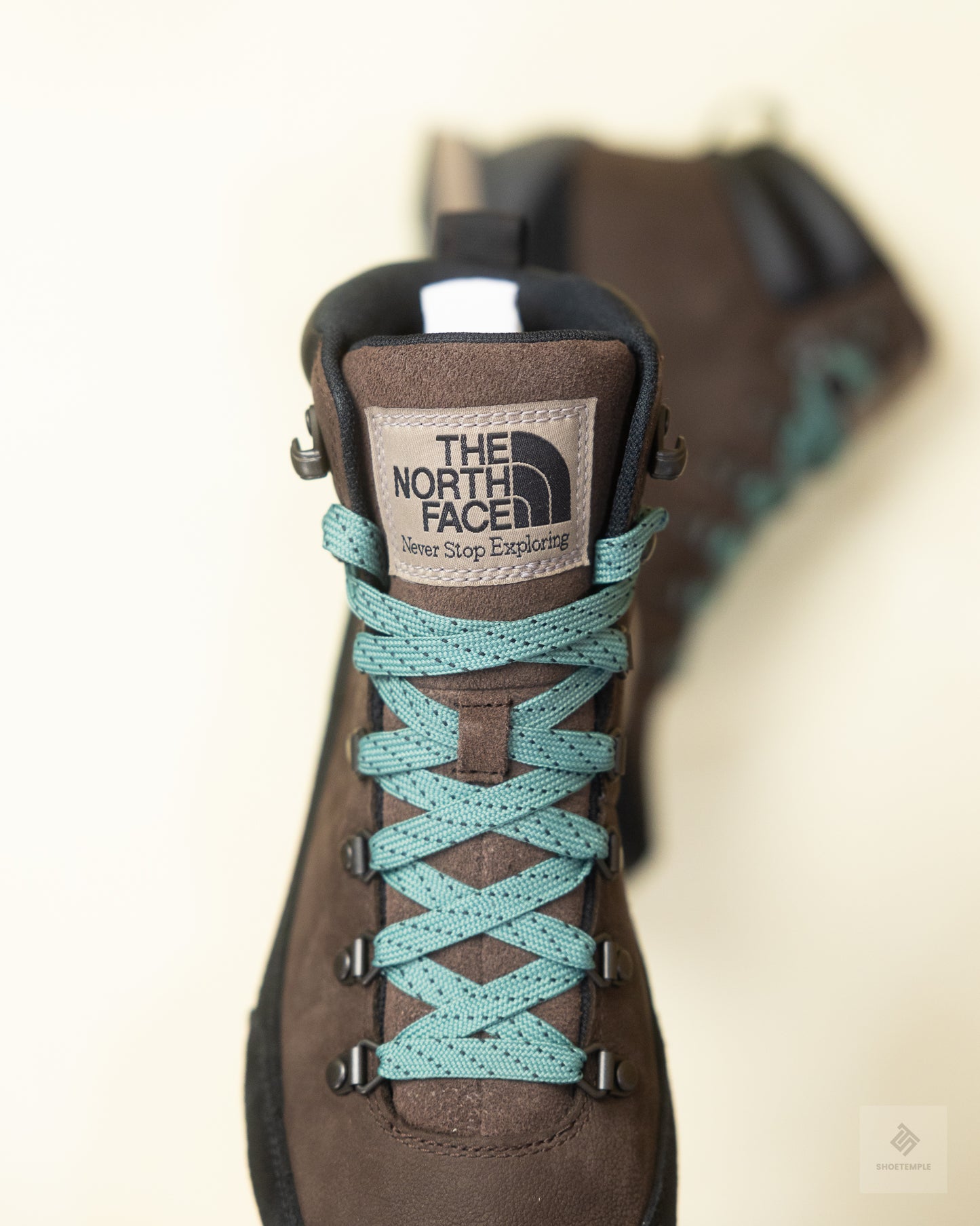 The North Face Men's Back-To-Berkeley IV Leather Waterproof Boots