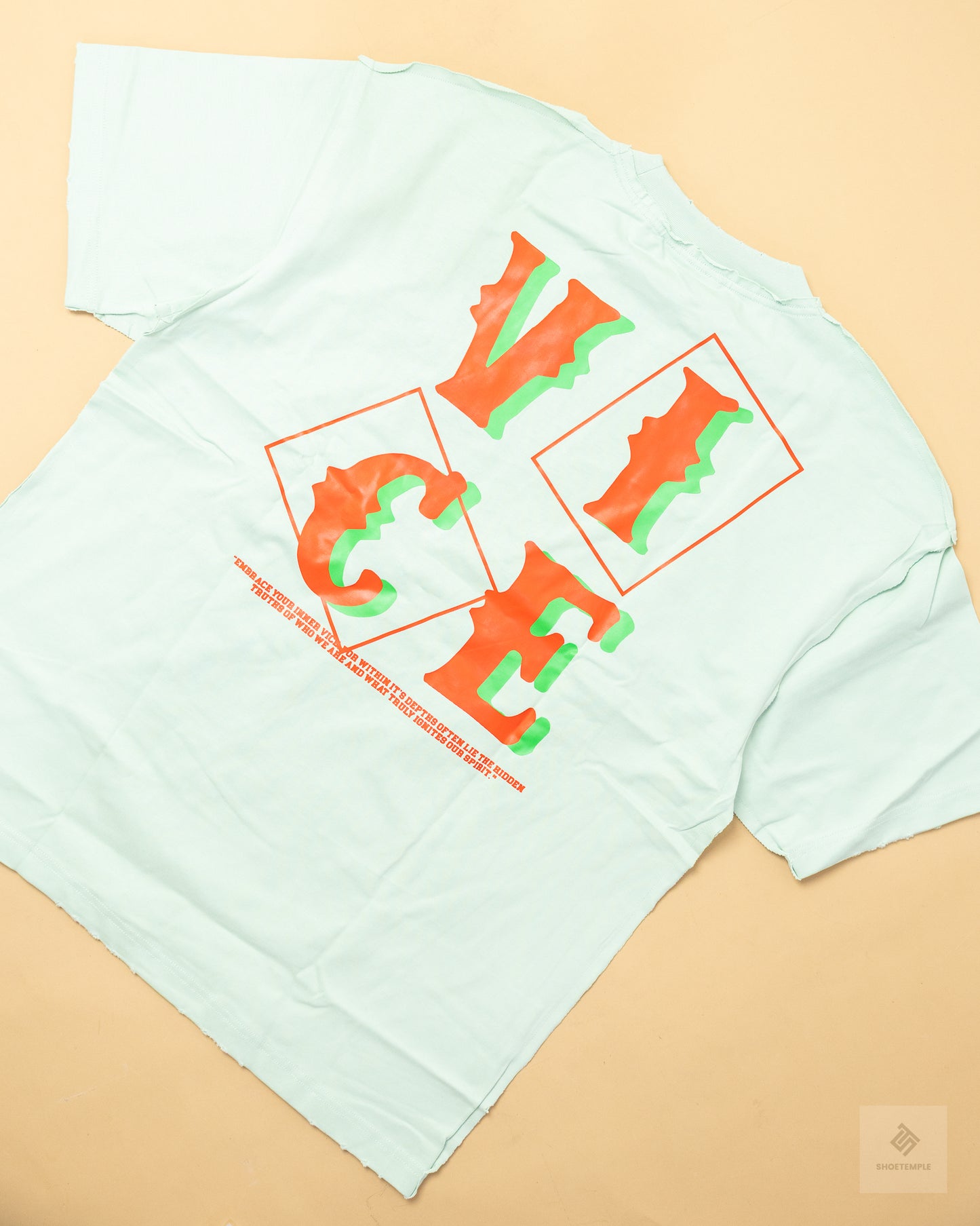 FIISH Vice Heavy Weight Graphic T-Shirt – Mint