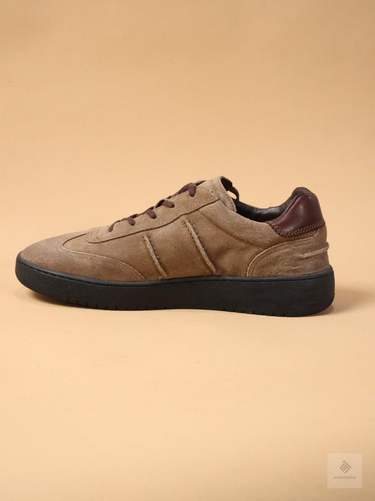 ROAN Beige Suede Sneaker