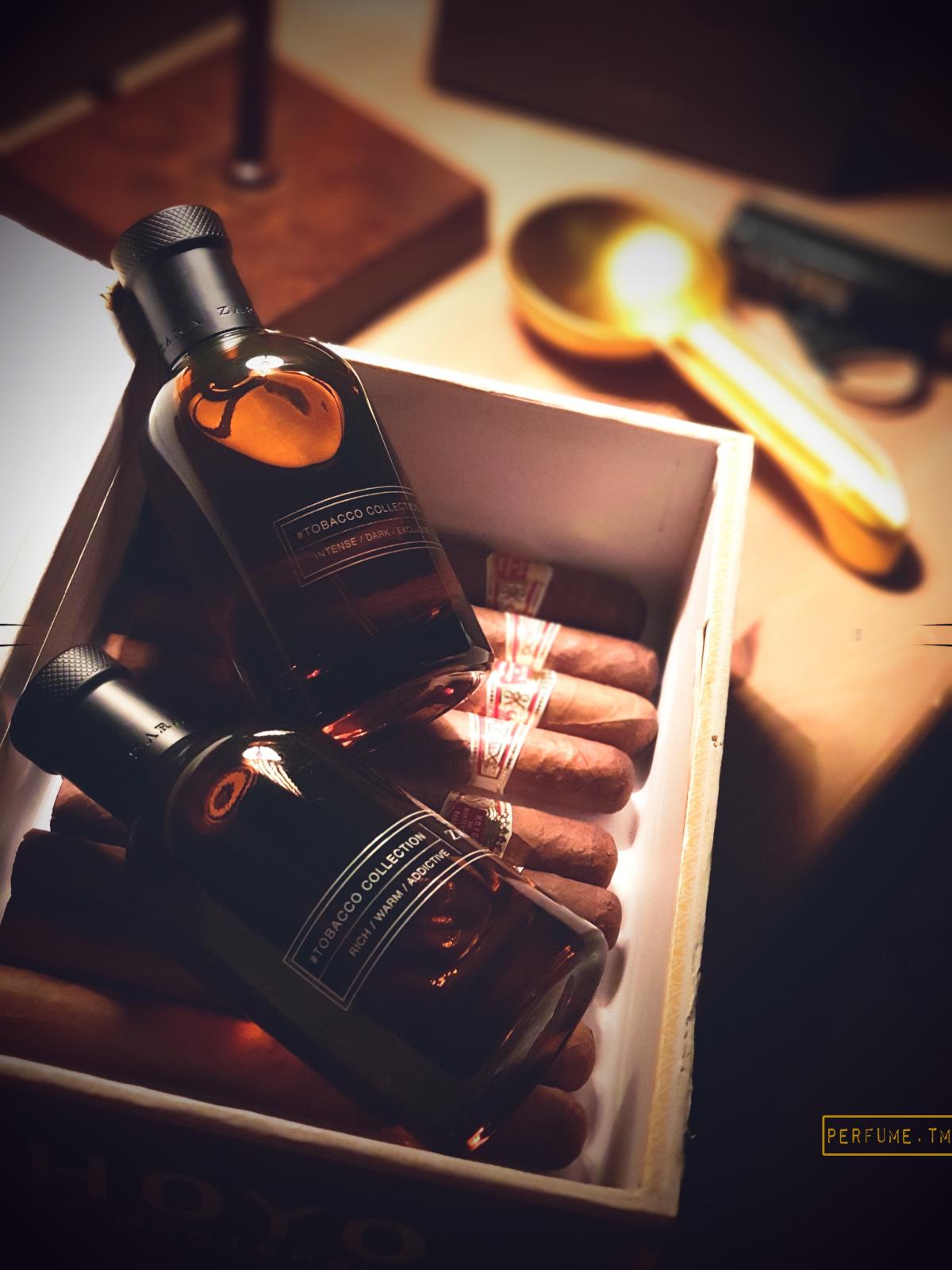 Tobacco Collection Rich Warm Addictive 100ML