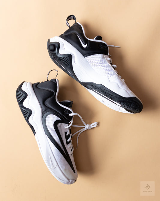 Nike Men's Giannis Immortality 3 basketball shoes