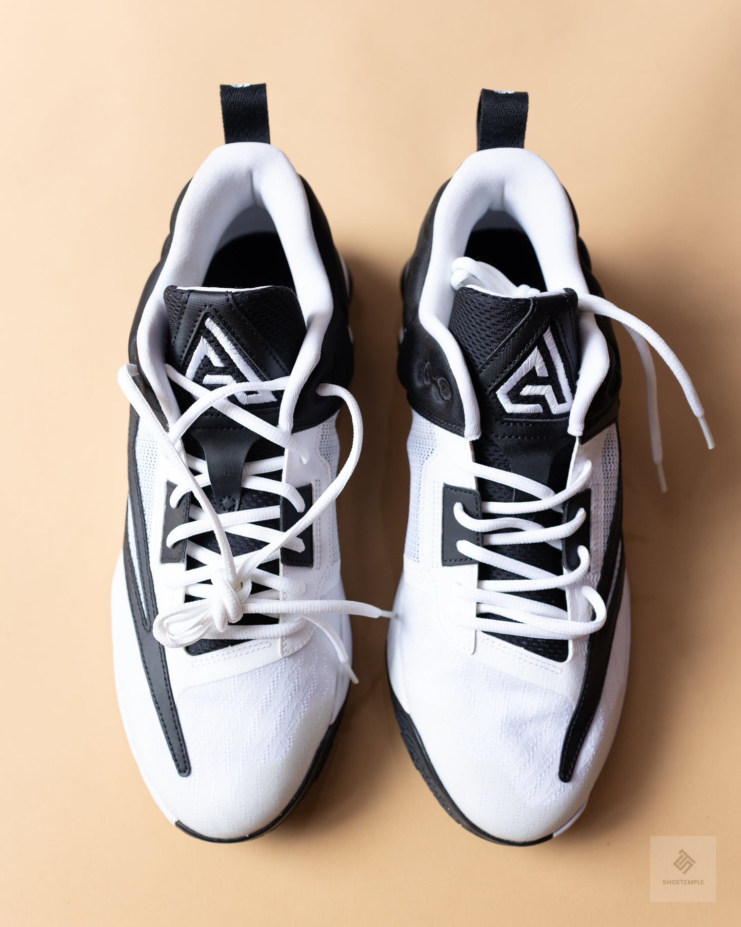Nike Men's Giannis Immortality 3 basketball shoes
