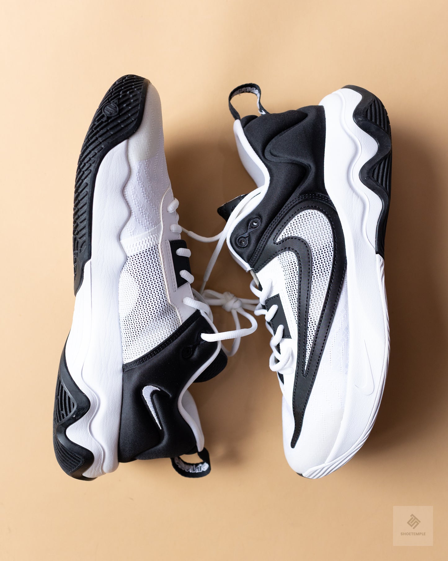 Nike Men's Giannis Immortality 3 basketball shoes