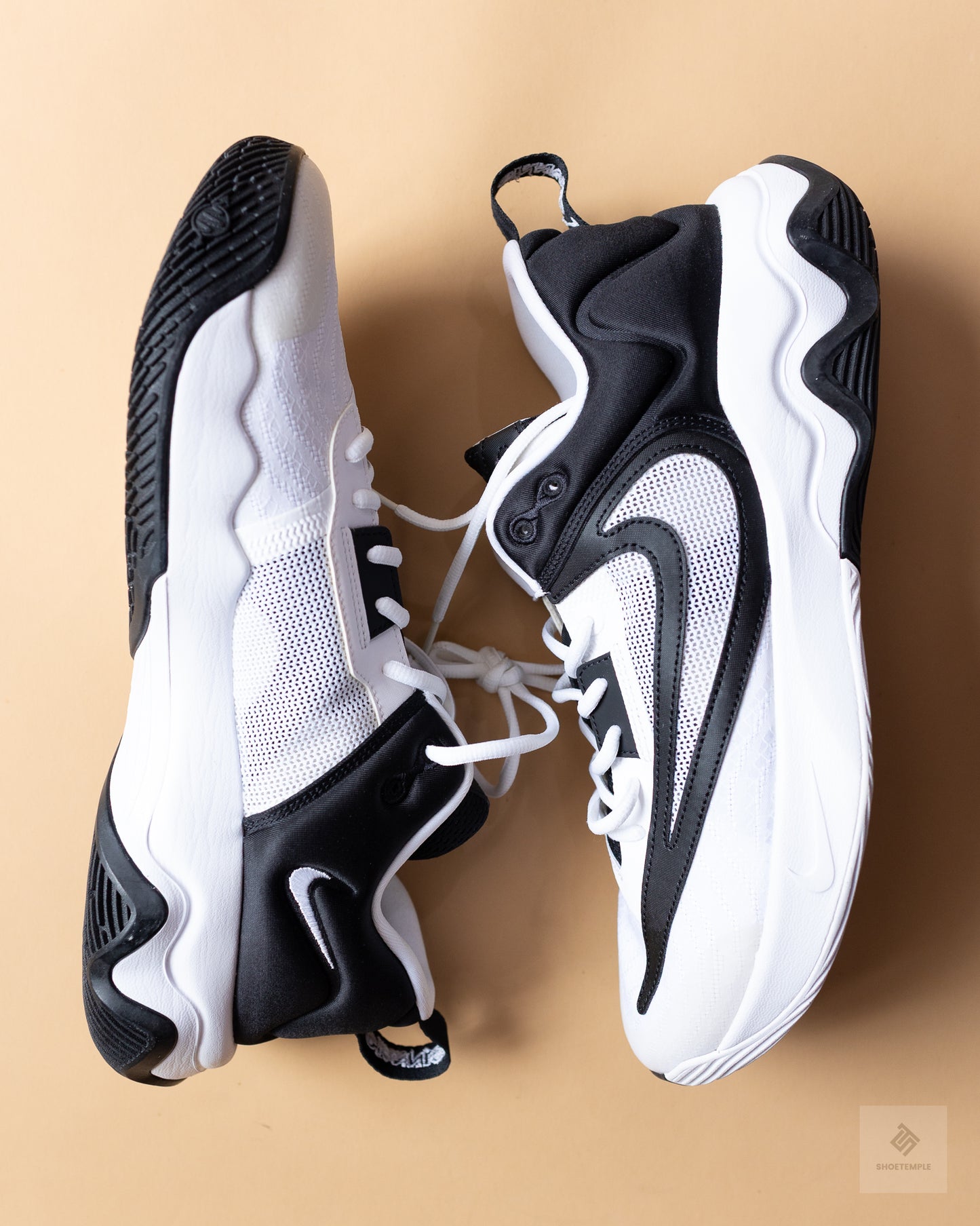 Nike Men's Giannis Immortality 3 basketball shoes