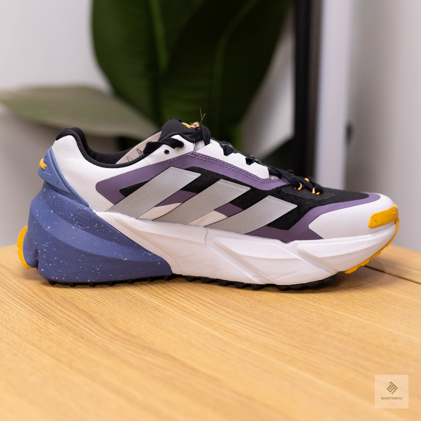Adidas Adistar COLD.RDY running shoes