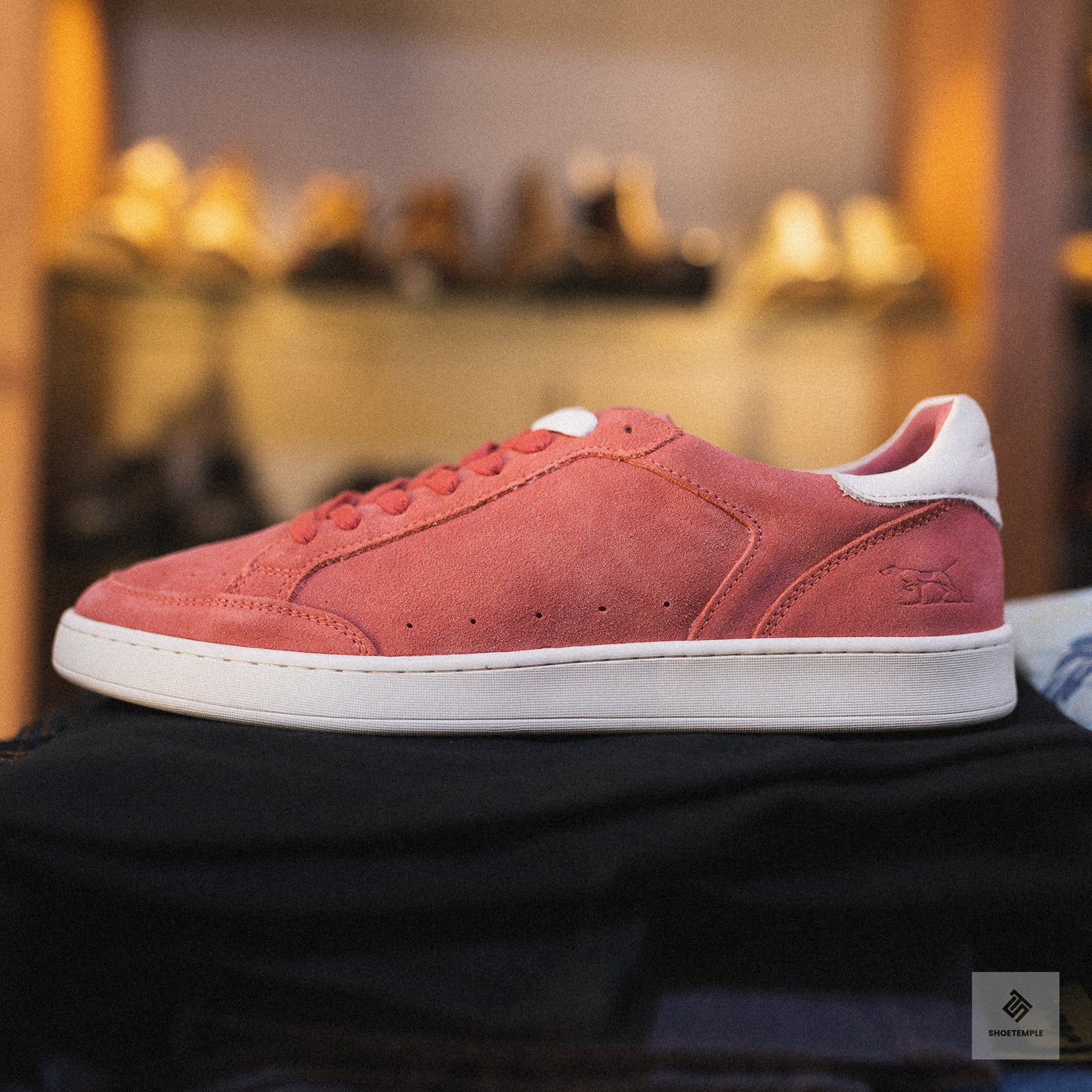 Rodd & Gunn Sussex Street Sneaker in salmon suede