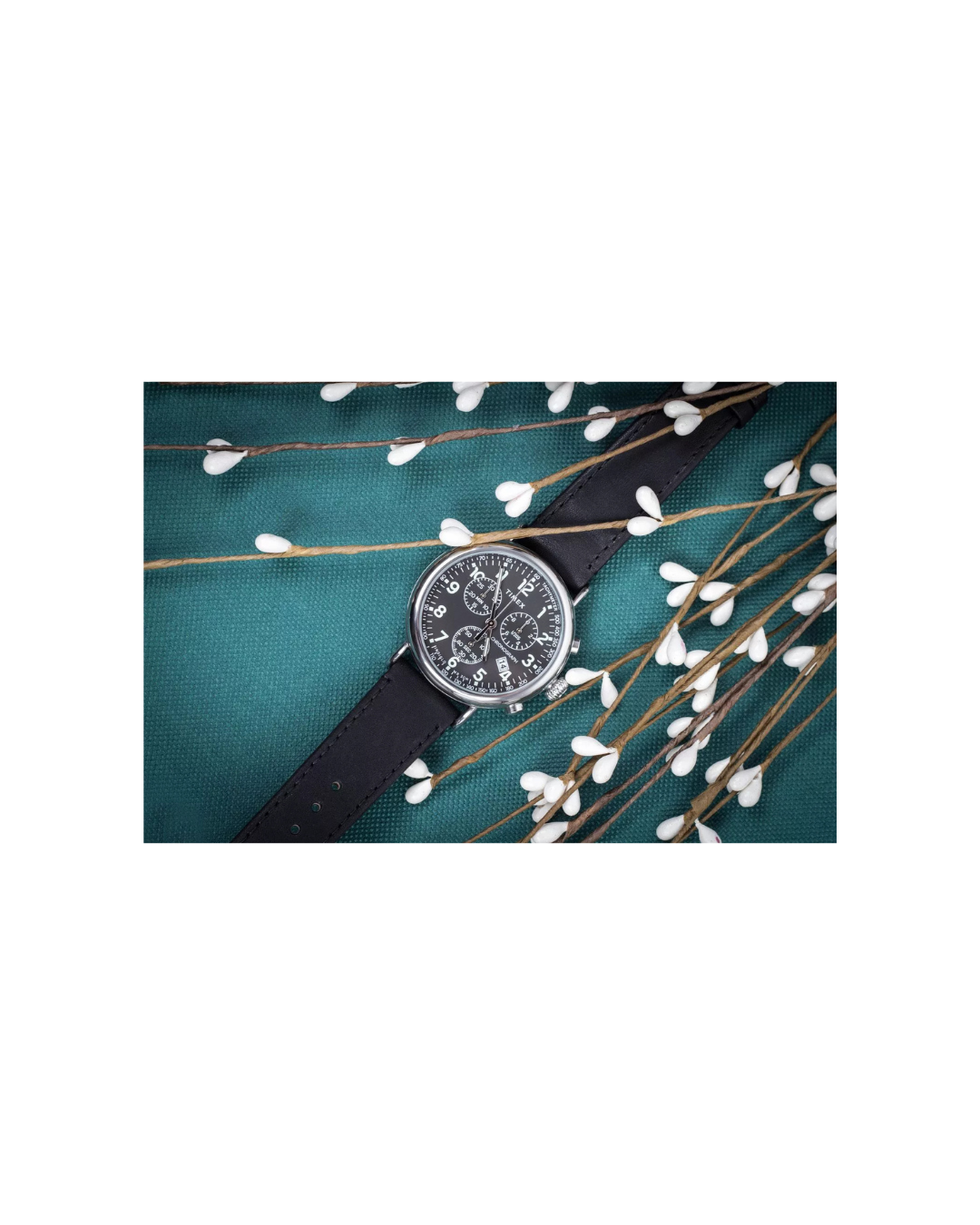 Timex Standard Men's Watch 41mm