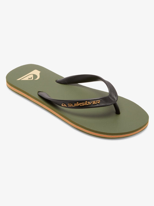 Quik Silver MOLOKAI CORE